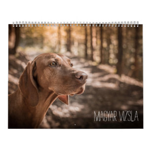 Calendrier de Magyar Vizsla