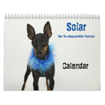 Calendrier de Manchester Terrier 2021 B