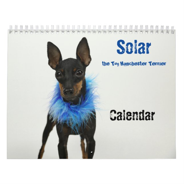 Calendrier de Manchester Terrier 2021 B (Protection)
