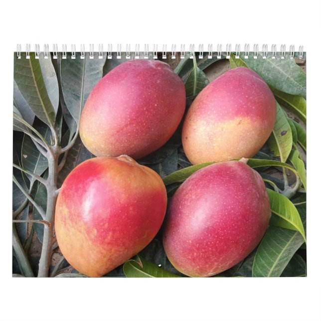 Calendrier de mangue Extraordinaire 2023 (Protection)