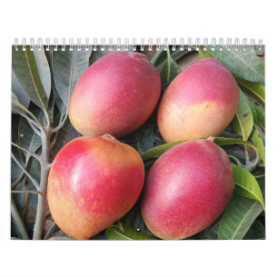 Calendrier de mangue Extraordinaire 2023