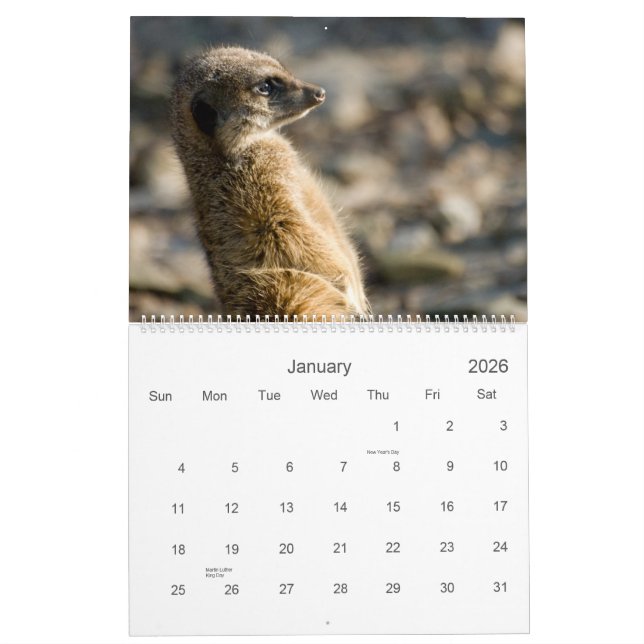 Calendrier de Meerkats 2010 (Jan 2026)