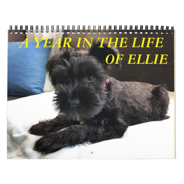 Calendrier de minimalisme TOUTE ANNÉE/TAILLE/COULE (Protection)