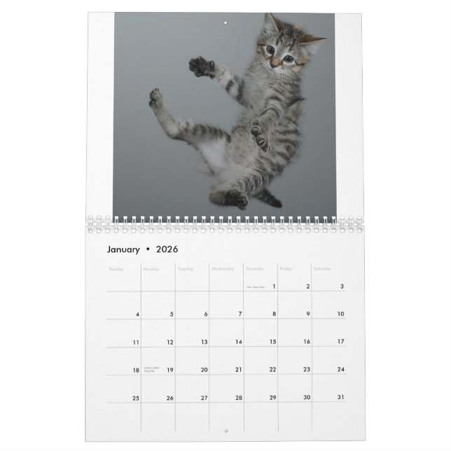 calendrier de MOIS, 2009 (Jan 2026)