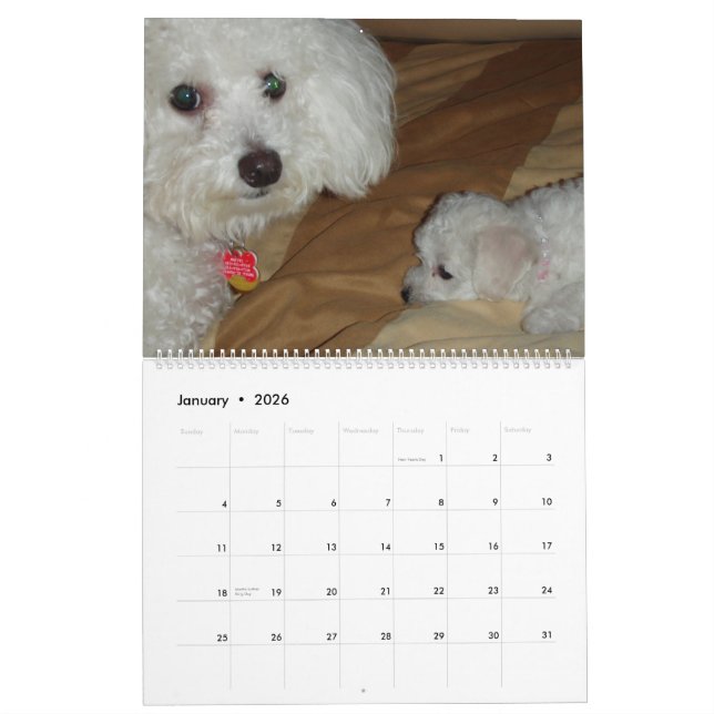 Calendrier de Muffie et de Snowie 2008 (Jan 2026)