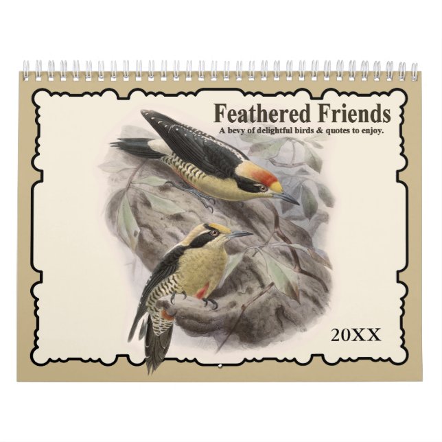 Calendrier de mur d'oiseaux 2021 Feathered Friends (Protection)