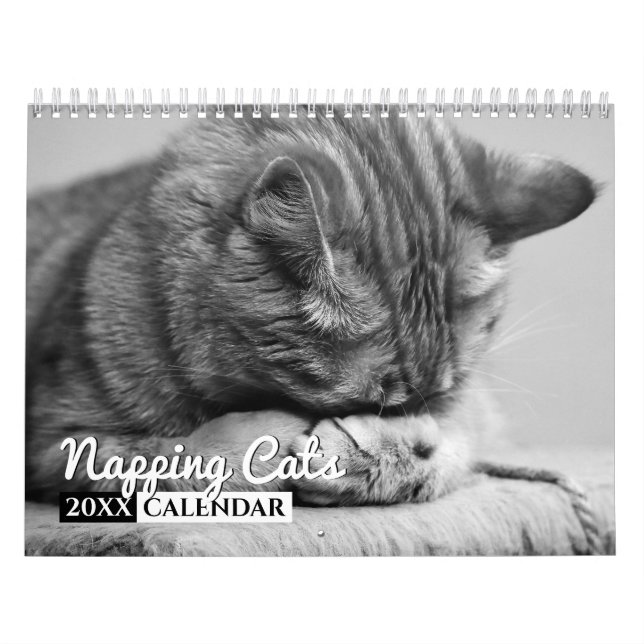 Calendrier de mur photo des chats Napping (Protection)