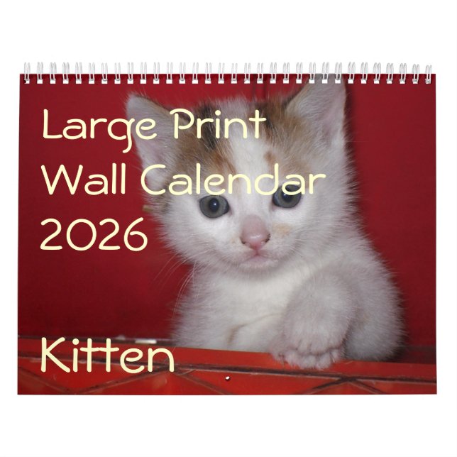 Calendrier de mur photo Kitten 2026 (Protection)