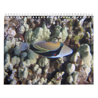 Calendrier de nature