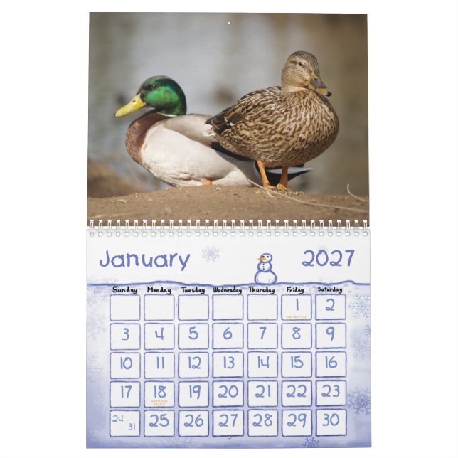 Calendrier de nature de canards de Mallard (Jan 2027)