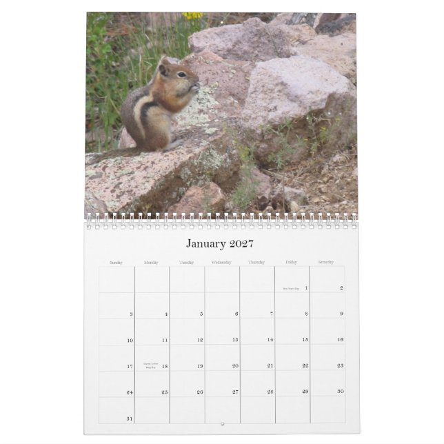 Calendrier de nature de propriétés d'avatar (Jan 2027)
