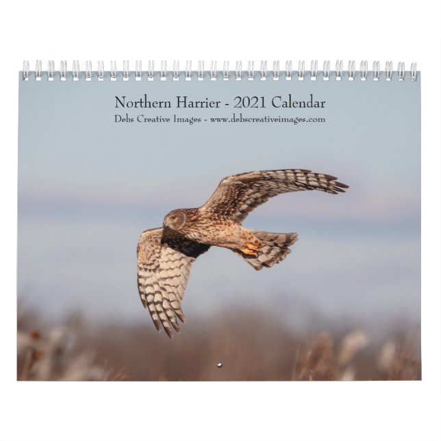 Calendrier de Northern Harrier 2021 (Protection)
