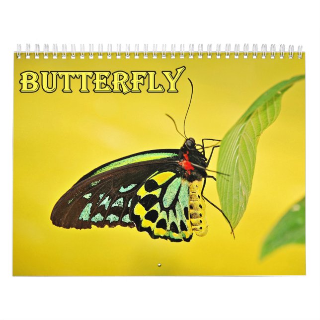 Calendrier de Papillon (Protection)