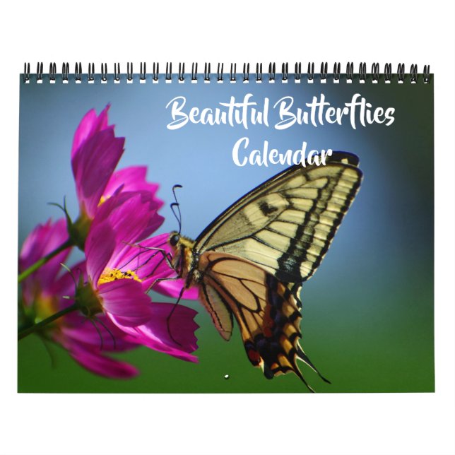 Calendrier de papillons magnifiques de taille moye (Protection)