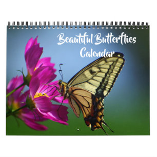Calendrier de papillons magnifiques de taille moye