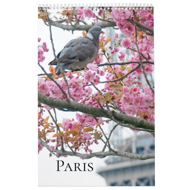 Calendrier de Paris (Protection)