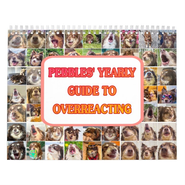 Calendrier de Pebbles (Protection)