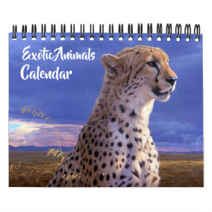 Calendrier de petits animaux exotiques