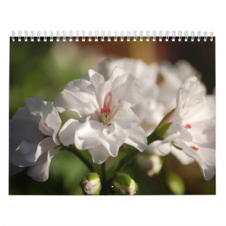 Calendrier de photo de 2008 fleurs
