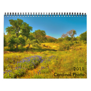 Calendrier de photo de 2011 cardinaux