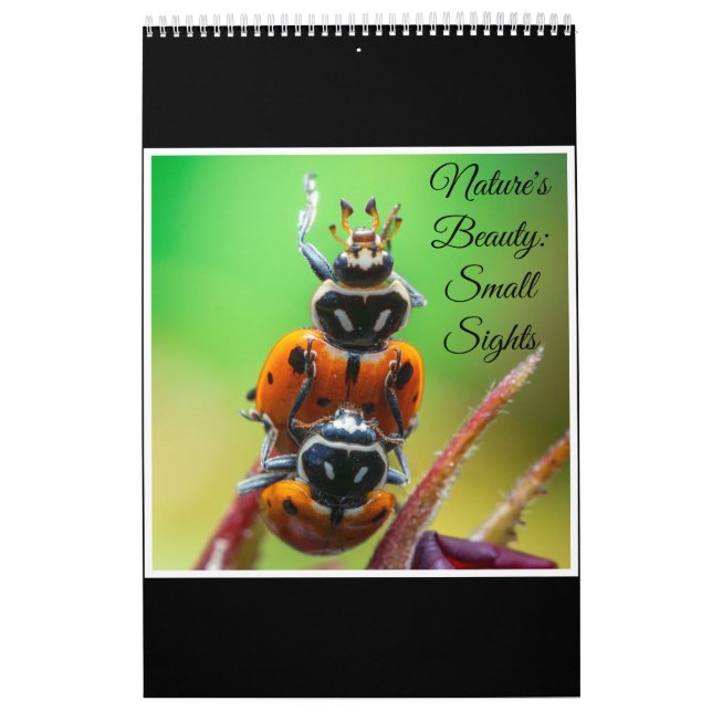 Calendrier de photographie artistique macro de coc (Protection)