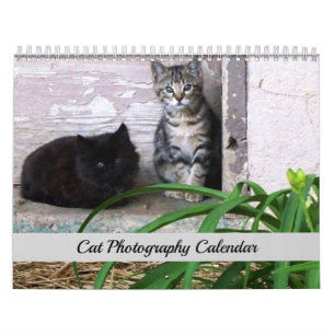 Calendrier de photographie de chats originaux Sgol