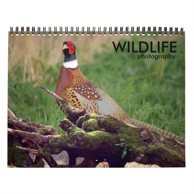 Calendrier de photographie de la faune (Protection)