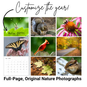 Calendrier de photographie de la faune de jardin p