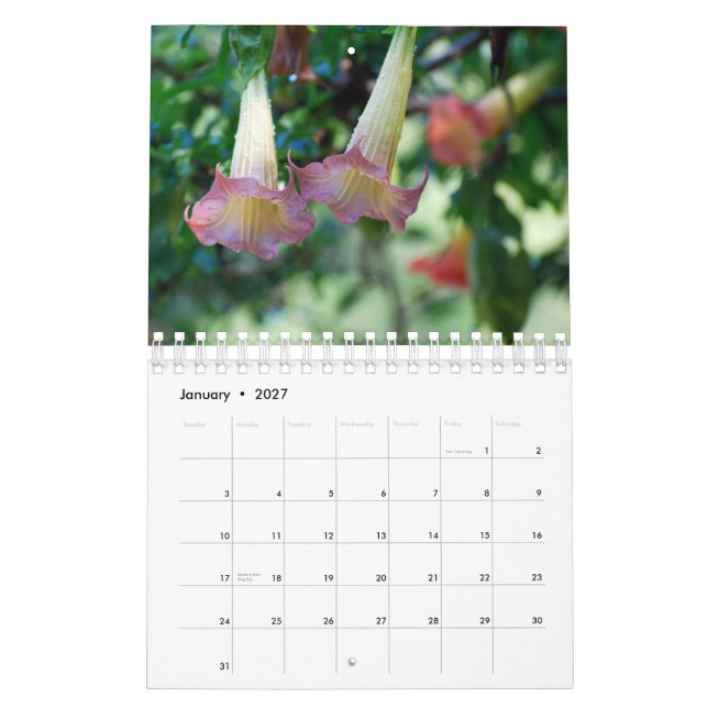 Calendrier de photographie de nature (Jan 2027)
