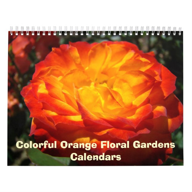 Calendrier de photographie de nature Fleur orange  (Protection)