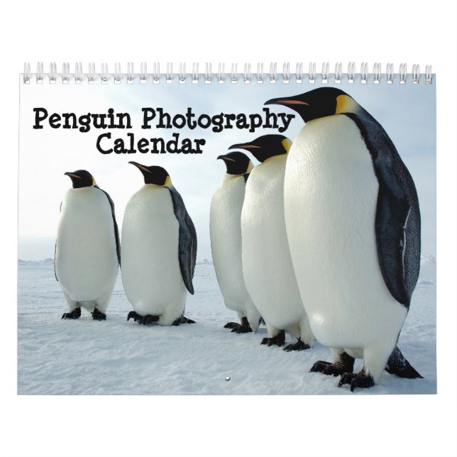Calendrier de photographie de pingouin (Protection)