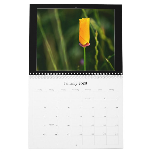 Calendrier de photographie en couleur 2010 (Jan 2026)