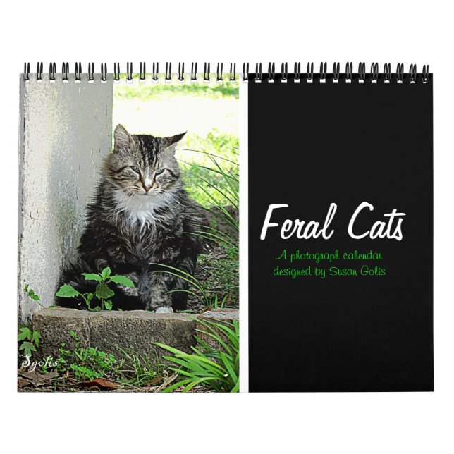 Calendrier de photographies de chats harets (Protection)