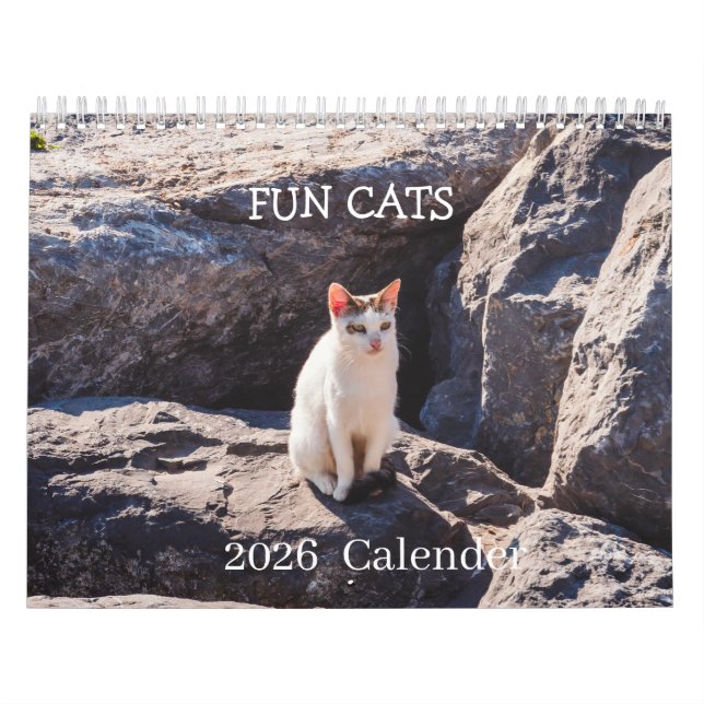 Calendrier de photos de chat drôle – Moustaches et (Protection)