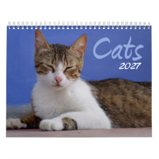 Calendrier de photos de chats 2027