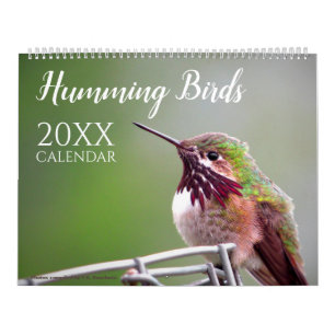 Calendrier de photos de colibris nature faune sauv