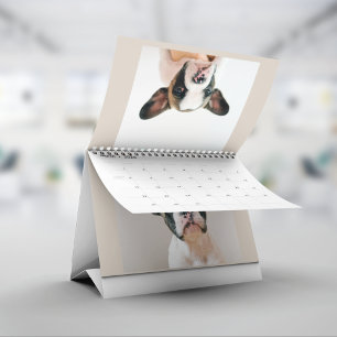 Calendrier de photos de compagnie Minimaliste Beig