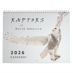 Calendrier de photos d'oiseaux de proie d'Amérique
