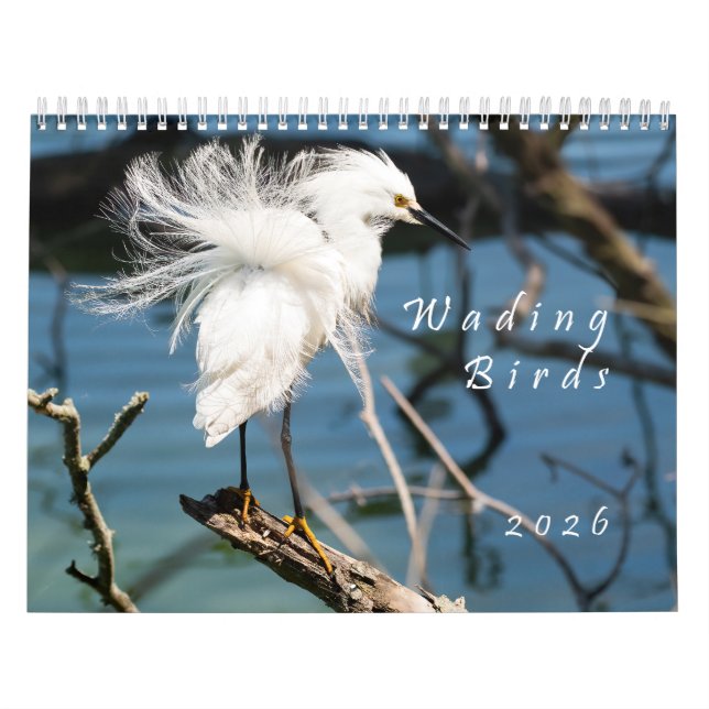 Calendrier de photos originales d'oiseaux échassie (Protection)