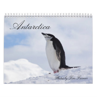 Calendrier de pingouins de l'Antarctique