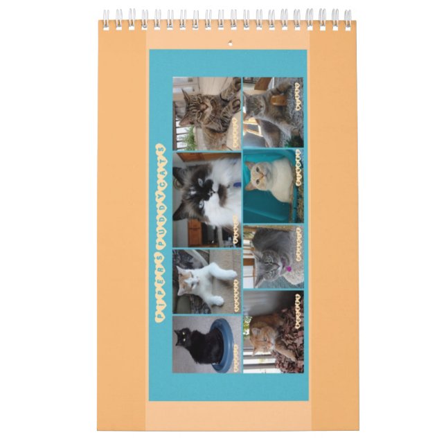 Calendrier de PipersPuddycats 2020 (Protection)