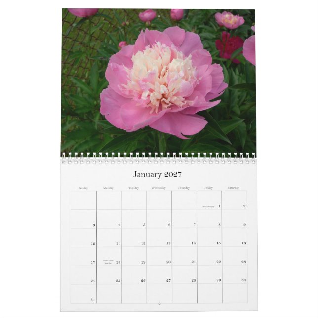 Calendrier de pivoine août 2007-juillet 2008 (Jan 2027)