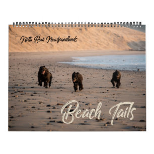 Calendrier de plage Notta Bear Terre-Neuve Oregon