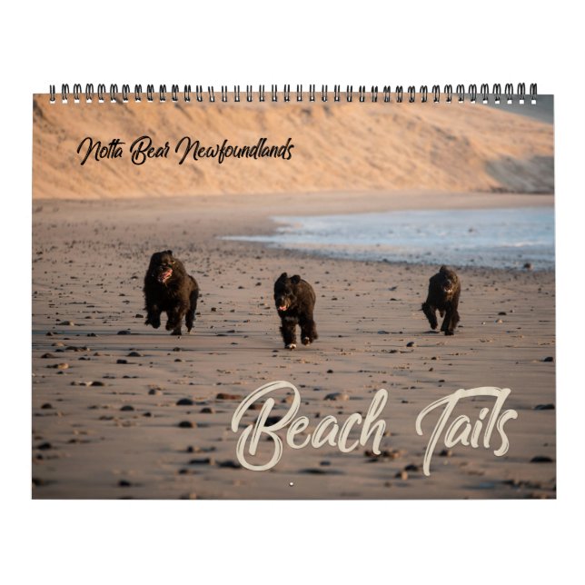Calendrier de plage Notta Bear Terre-Neuve Oregon (Protection)