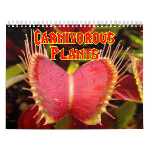 Calendrier de plantes carnivores