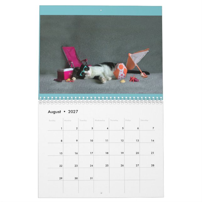 Calendrier de pli de 2019 écossais (Aug 2027)