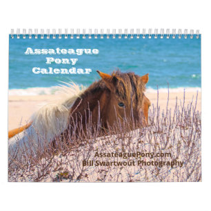 Calendrier de pony Assateague