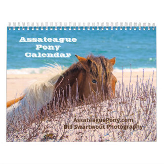 Calendrier de pony Assateague