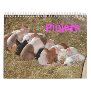 Calendrier de porcelets