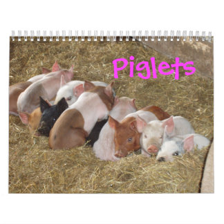 Calendrier de porcelets